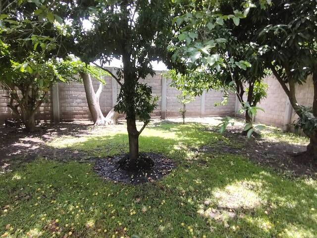 Casa para Venta en Morelos - 5